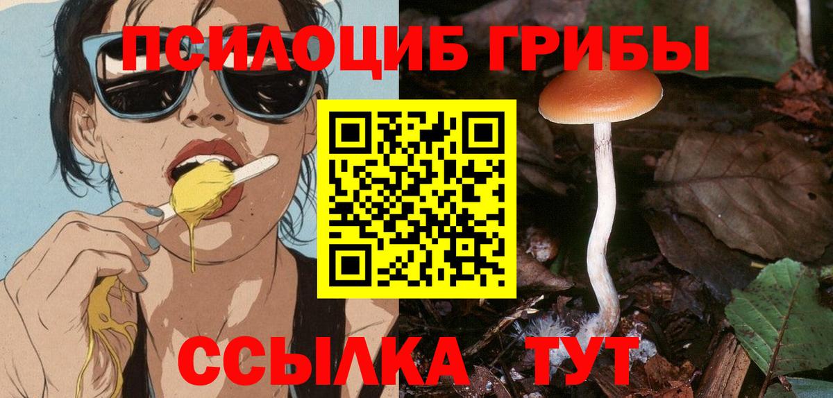 Псилоцибиновые грибы GOLDEN TEACHER  Вход с VPN  Дмитров 
